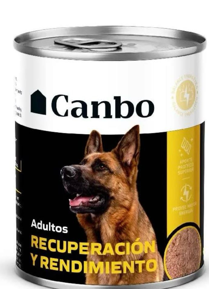 CANBO DOG PATE REC.REND. AD LATA 330GR